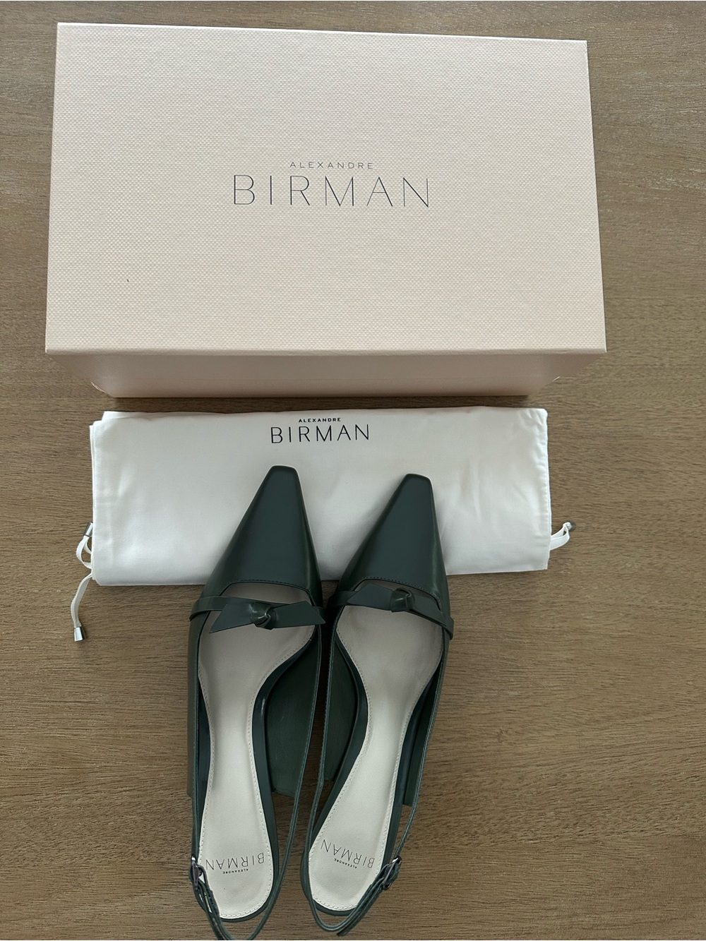 Alexandre Birman Clarita Slingback Pumps